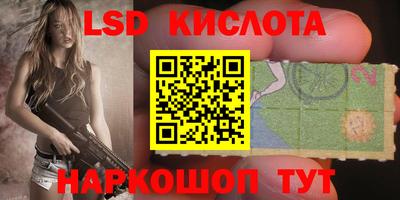 крисы Краснодар