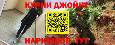 крисы Краснодар