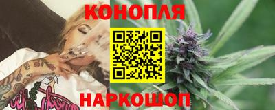 крисы Краснодар